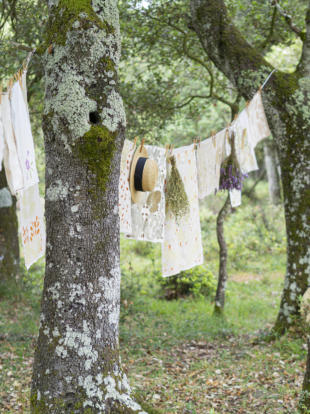 DIY Estampación botánica en tela12
